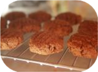 Fat Free Gingerbread Cookies