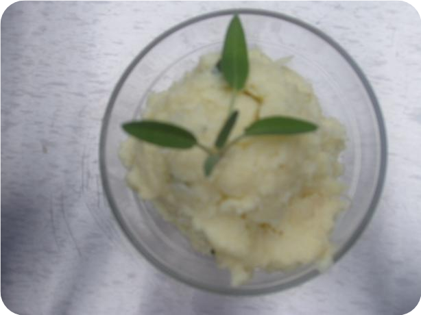 Mock Mashed Potatoes/Cauliflower Atkins Style