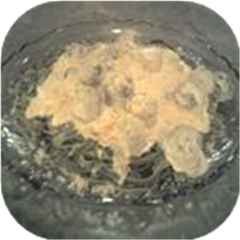 Easy Alfredo Sauce III