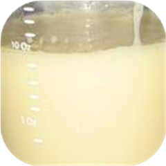 Sweetened Condensed Milk