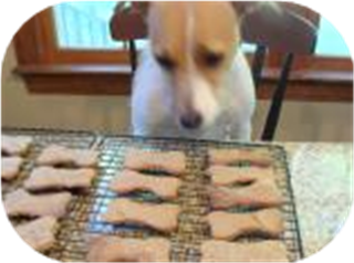 Dog Cookies