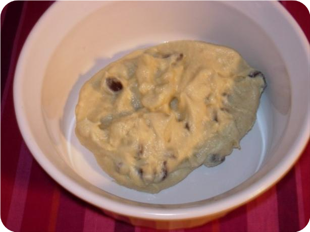 Safe to Eat Raw Chocolate Chip Cookie "dough"