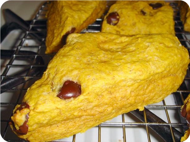 Vegan Pumpkin Scones