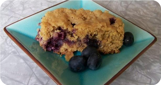 Blueberry Oat Bars