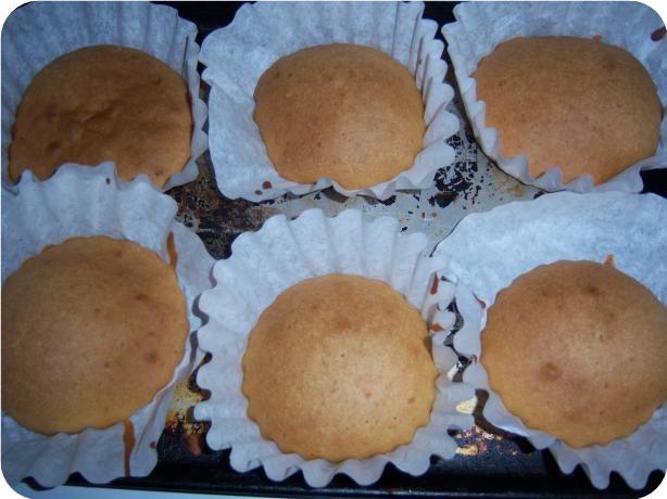 Bland Basic Muffins