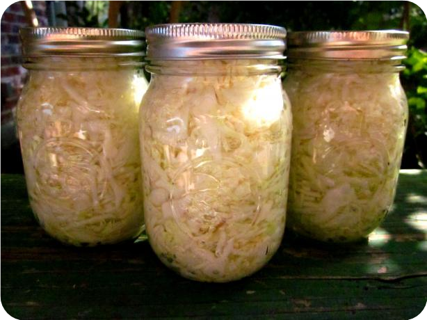 Sauerkraut in a Bottle