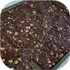 Chewy Chocolate Peanut Bars