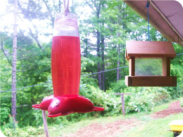 Hummingbird Syrup for Feeders