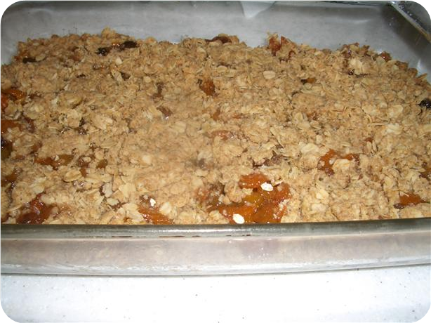 Raisin Apricot Bars