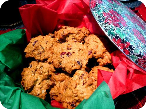 Cranberry Pecan Oat Cookies