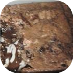 Hot Fudge Pudding Cake III