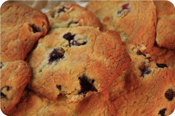 Blueberry Cookies