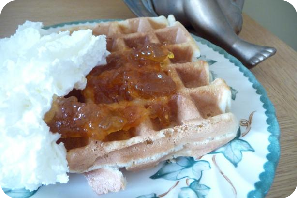 Best Basic Waffle
