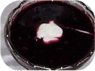 Scandinavian Blueberry Soup