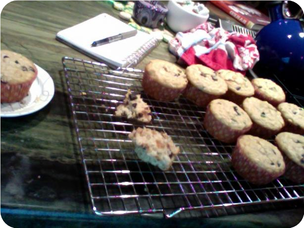 Golden Oatmeal Muffins