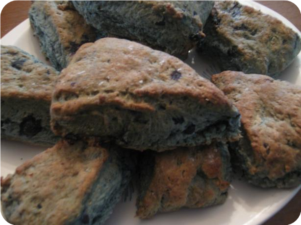 Blueberry English Scones