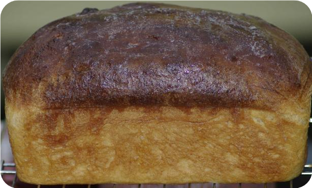 Wheat Bread ( Bread Machine Assisted )