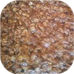 No Bake Cookies II
