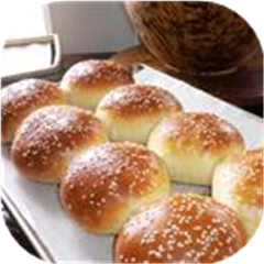 Burger or Hot Dog Buns