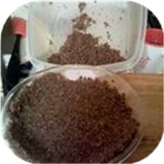 Pecan Nut Crust