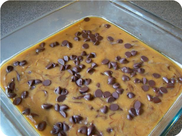 Peanut Butter-Chocolate Chip Fudge