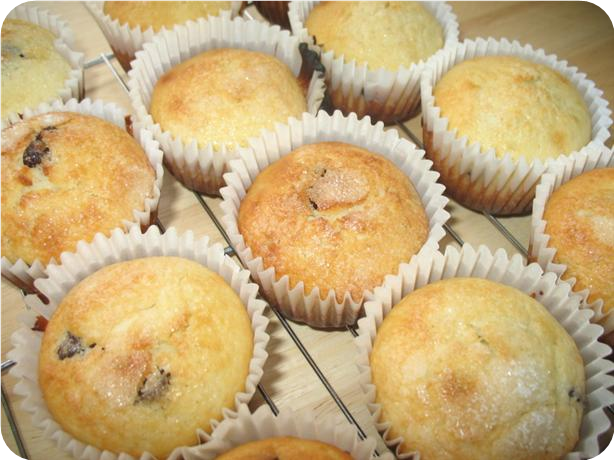 Chocolate Chip Lemon Muffins
