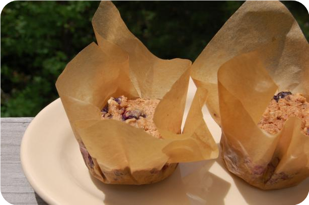 Whole Wheat Blueberry Muffins