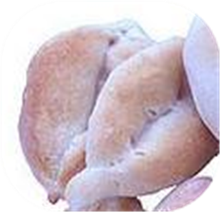 Portuguese Rolls or "papo Secos"