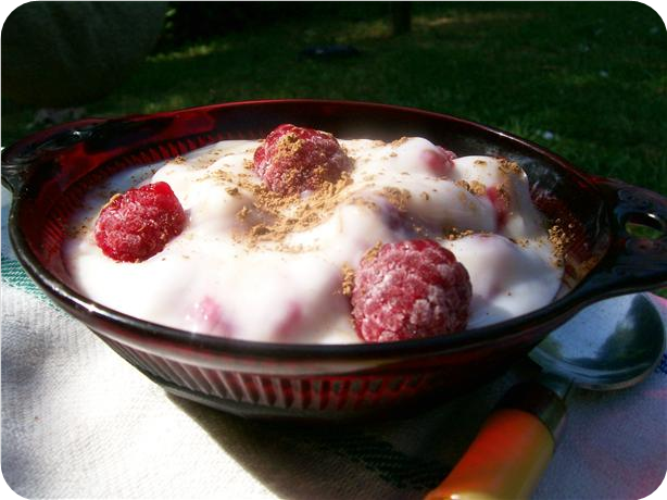 Quick and Healthy Raspberry Yogurt Treat