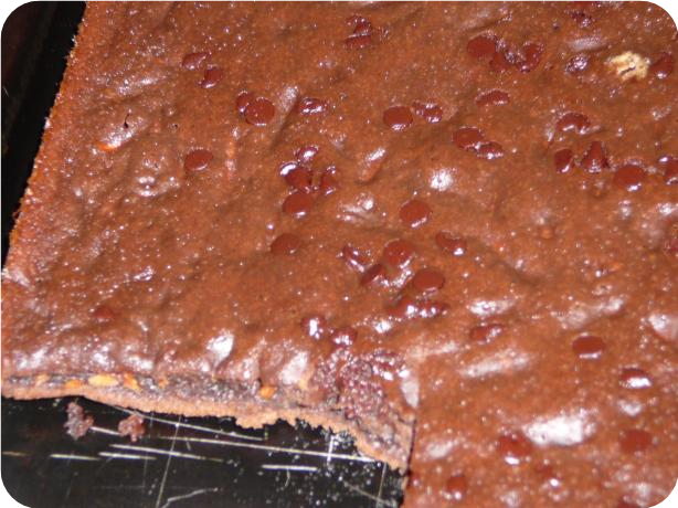 Light Carrot Cocoa Snack Cake --(Brownies)