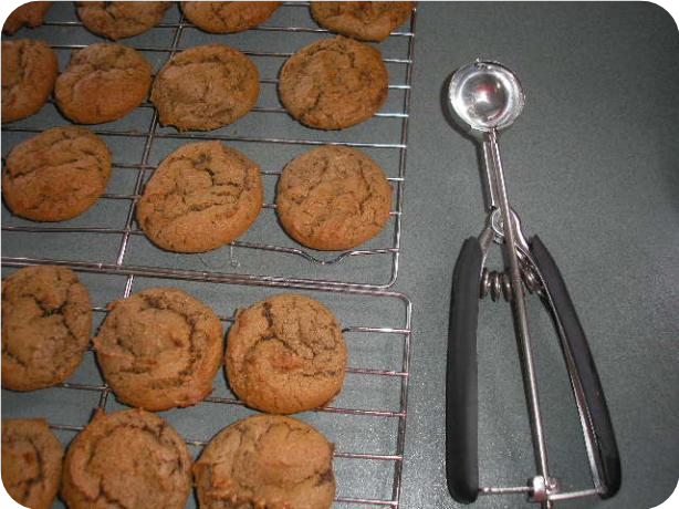 No Fat Added Chocolate Peanut Butter Cookies
