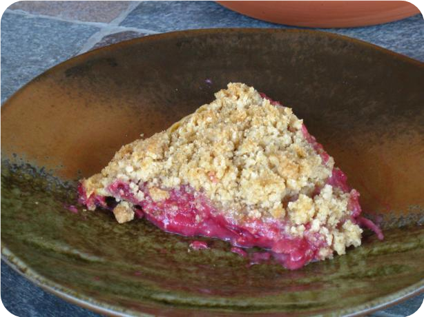 Sour Cream Rhubarb Pie