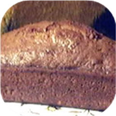 Sara's Awesome Pumpkin Bread