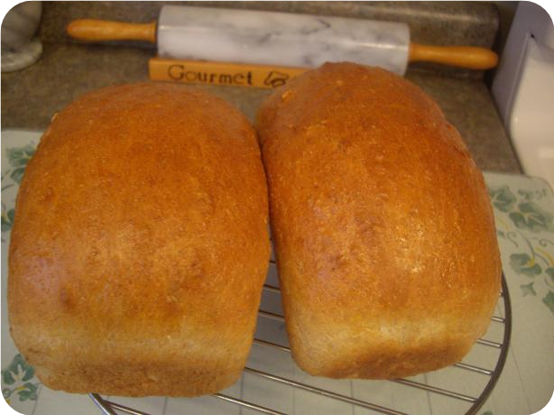 Bread Machine Oatmeal-Sunflower-Seed  Bread