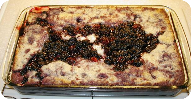 Easy Blackberry Cobbler