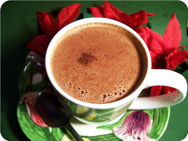 Spiced Hot Dark Chocolate