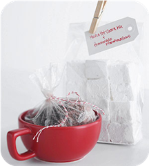 Mocha Hot Cocoa Mix