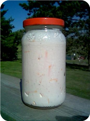 Fiesta Dip