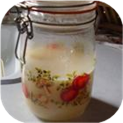 Sourdough Starter I