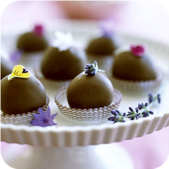 Peanut Butter Balls 