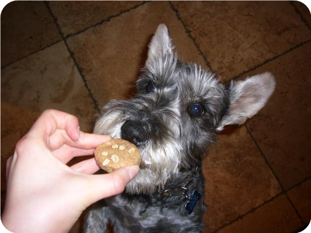 " Luck'a'doodles" Dog Treats