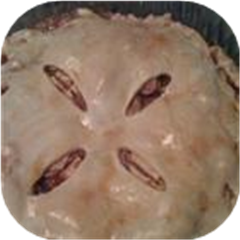 Perfect Apple Pie