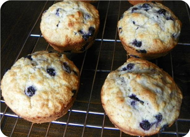 Blueberry Muffins