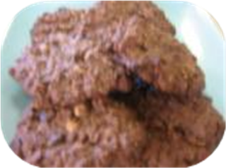 Oatmeal Nut Chocolate Cookies