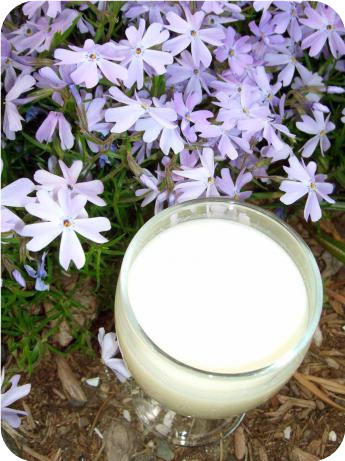 Creamy Limoncello
