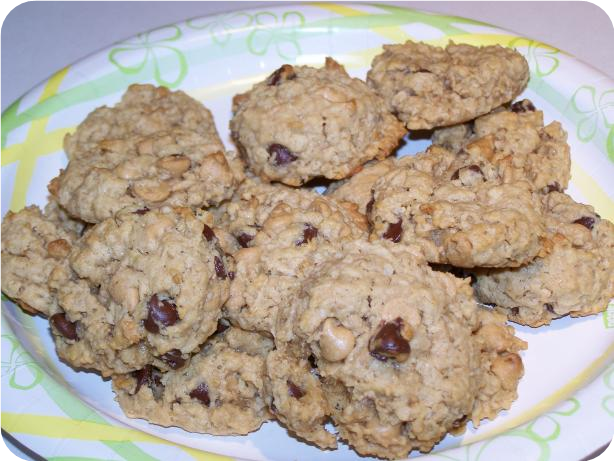 Oatmeal Extravaganzas
