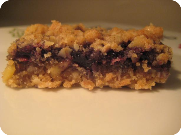 Raspberry Oatmeal Squares