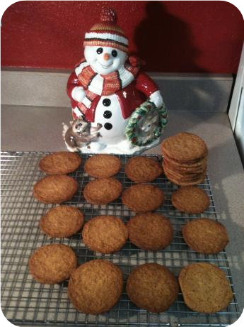 Crunchy Ginger Snaps (Similar to Arnotts Gingernut)