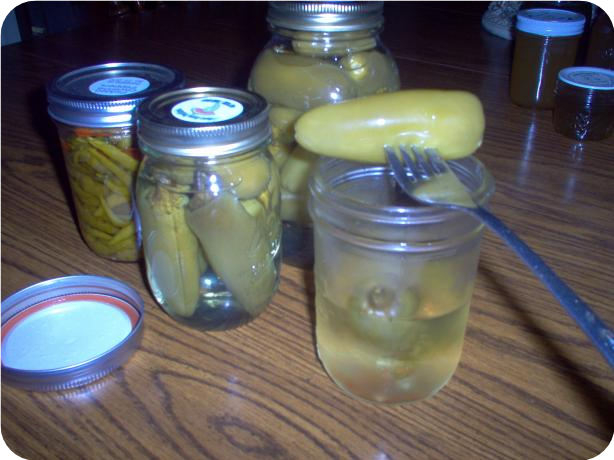 Roly Poly Jalapenos