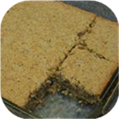 Swedish Nut Bars
